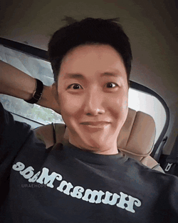 Hobi Alpha Wolf Jhope Funny GIF