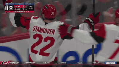 Hockey Crowd Carolina Crows Vs Toronto Maple Leafs GIF
