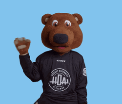 Hockey Diversity Alliance Mascot Bear Waving GIF