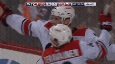 Hockey Game Between Carolina Panthers And New York Islanders GIF