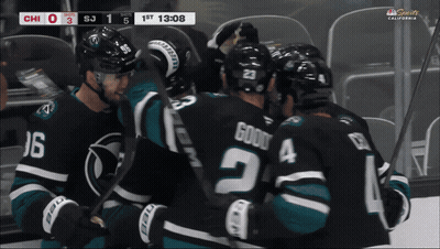 Hockey Game In California Score 0-3 GIF
