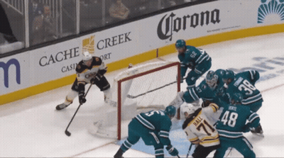 Hockey Game In Front Of Corona Banner GIF