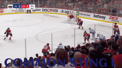 Hockey Game In Front Of Crowd GIF