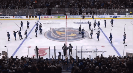Hockey Game in Front of Crowd With Shark Ninja Ads