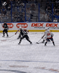Hockey Game In Front Of Dex Imaging Imaging Sign GIF