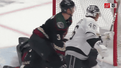 Hockey Game In Front Of Discover Banner GIF