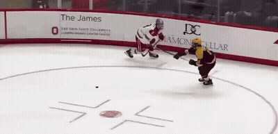 Hockey Game In Front Of James Banner GIF