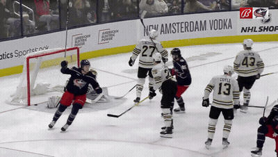 Hockey Game In Front Of New Amsterdam Vodka Banner GIF