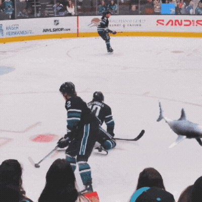 Hockey Game In Front Of NHL Shop Banner GIF