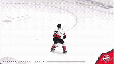 Hockey Game In Front Of Richardson Advertisement GIF