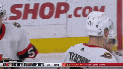 Hockey Game In Front Of Shop.com Ad GIF
