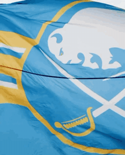 Hockey Game In Front Of SN Banner GIF