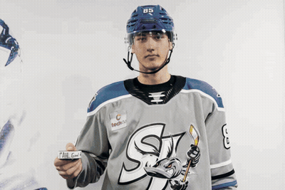 Hockey Game In Front Of Unrivaled Sign GIF