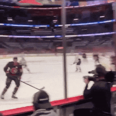 Hockey Game in Stadium