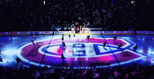 Hockey Game In Stadium Sponsored By Sony And Canon GIF