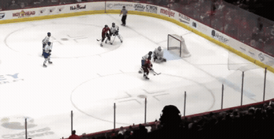 Hockey Game In Stadium With Hot Head And Meijer Ads GIF
