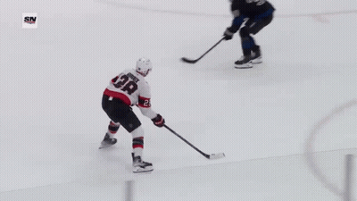 Hockey Game In Stadium With SN Logo GIF