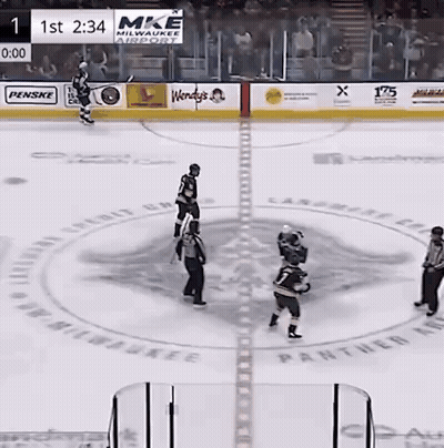 Hockey Game In Stadium With Wendy's Ad GIF