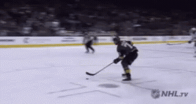 Hockey Game On NHL TV GIF