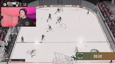 Hockey Game On Screen With Seije GIF
