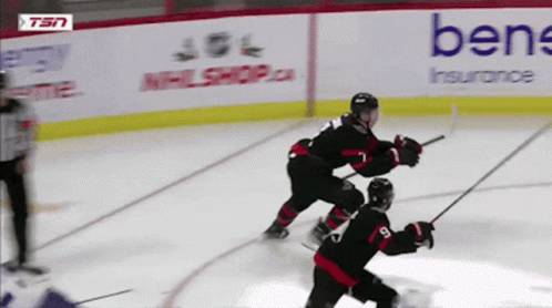 Hockey Game Played In Front Of Bene Insurance Sign GIF