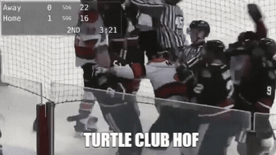 Hockey Game Saying Turtle Club Hof GIF