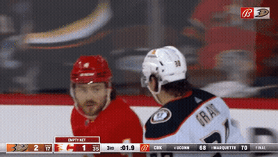 Hockey Game UConn Ducks Vs Carolina Panthers GIF