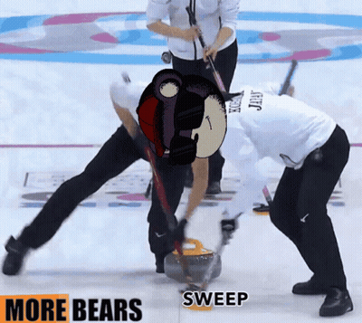 Hockey Game With More Bears Sweep GIF
