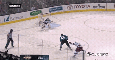 Hockey Game With Toyota Banner GIF