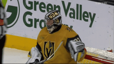 Hockey Goalie In Green Valley GIF