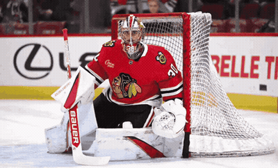 Hockey Goalie In Red Jersey Number 38 GIF