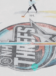 Hockey Goon Says No GIF