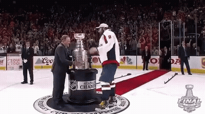 Hockey Player And Stanley Cup Final Trophy GIF