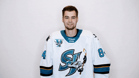 Hockey Player Bang Bang GIF