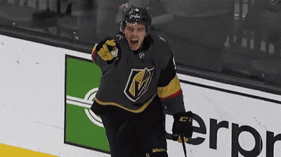 Hockey Player Celebrates Goal GIF