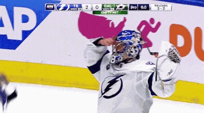 Hockey Player Celebrating Goal GIF