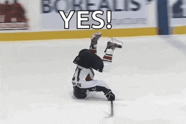 Hockey Player GIF