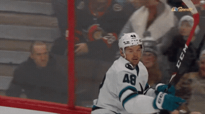 Hockey Player Holding CCM Stick With Crowd GIF
