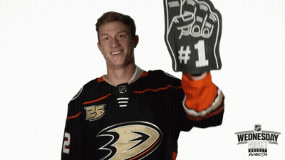 Hockey Player Holding Foam Hand GIF
