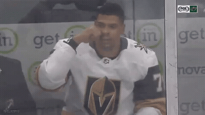 Hockey Player Holding Stick In Front Of Shield With Letter V GIF