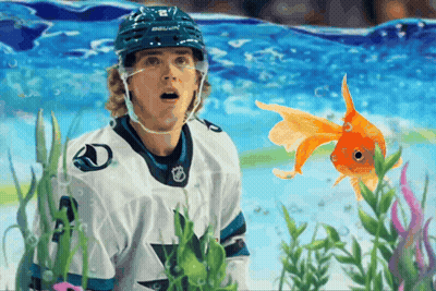 Hockey Player In Bauer Helmet Looking At Goldfish GIF
