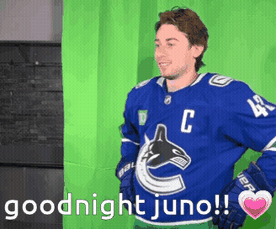 Hockey Player In Blue Jersey With C GIF