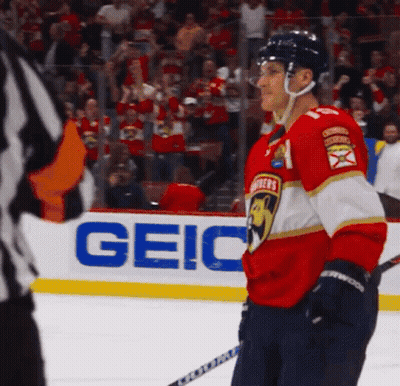 Hockey Player In Front Of Geico Banner GIF