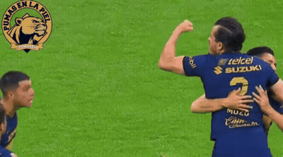 Hockey Player In Green Jersey Number 46 GIF