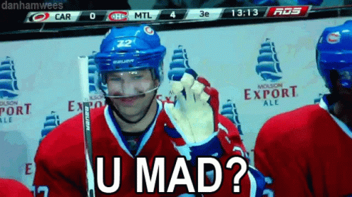 Hockey Player In Helmet And Gloves Says U Mad GIF