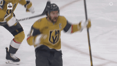 Hockey Player In Jersey With Letter V GIF