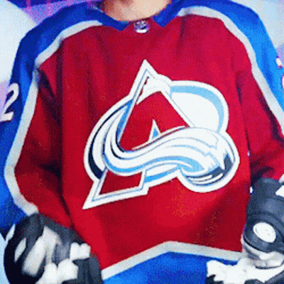 Hockey Player In Red And Blue Jersey GIF