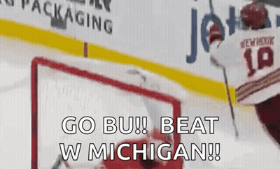 Hockey Player In Red Jersey Number 10 GIF