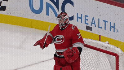 Hockey Player In Red Jersey Number 31 GIF