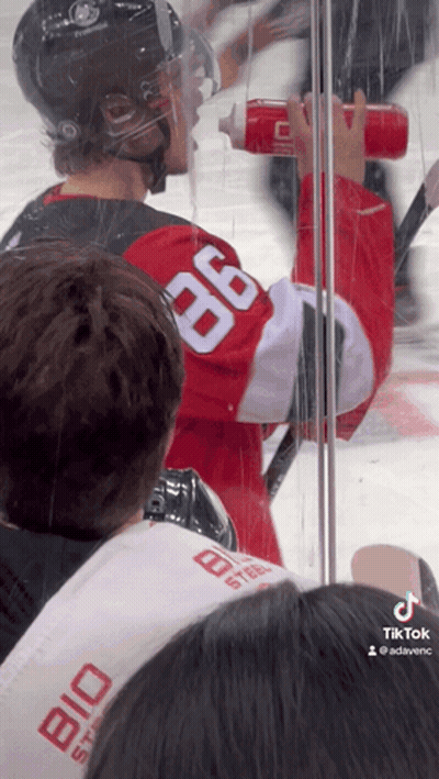 Hockey Player In Red Jersey Number 36 GIF